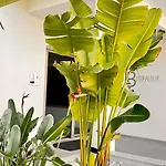 Διαμέρισμα Litoralblue Private Terrace&garage Flat 01 *